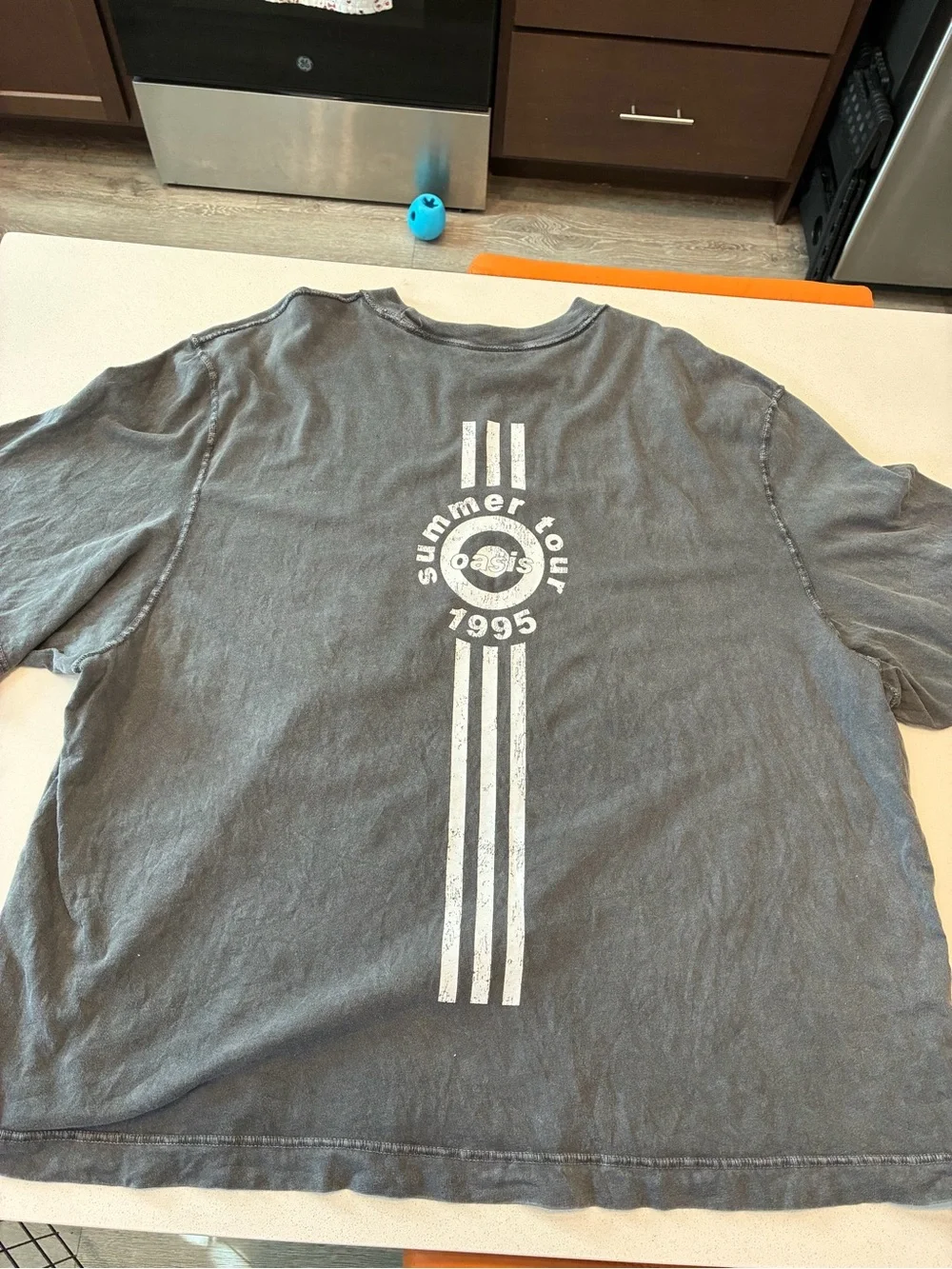 Abercrombie & Fitch Oasis Logo Crewneck T-Shirt - Charcoal with White Print